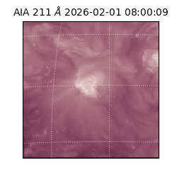 saia - 2026-02-01T08:00:09.618000