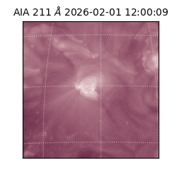 saia - 2026-02-01T12:00:09.633000