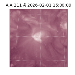 saia - 2026-02-01T15:00:09.632000