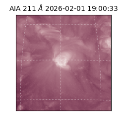 saia - 2026-02-01T19:00:33.626000