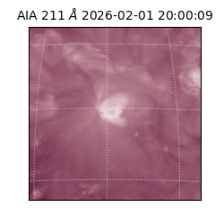 saia - 2026-02-01T20:00:09.623000