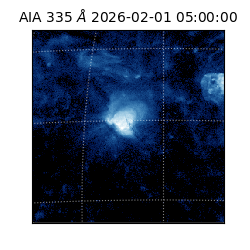 saia - 2026-02-01T05:00:00.625000