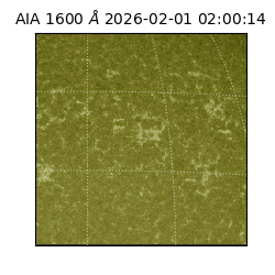 saia - 2026-02-01T02:00:14.126000