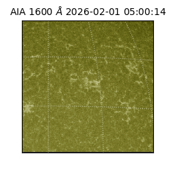 saia - 2026-02-01T05:00:14.125000