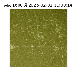 saia - 2026-02-01T11:00:14.133000