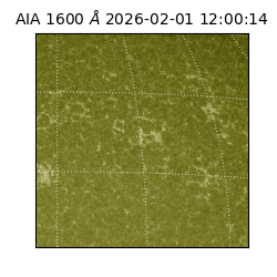 saia - 2026-02-01T12:00:14.125000