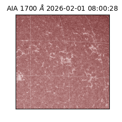 saia - 2026-02-01T08:00:28.710000