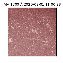 saia - 2026-02-01T11:00:28.717000