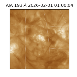 saia - 2026-02-01T01:00:04.843000