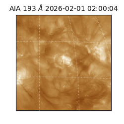 saia - 2026-02-01T02:00:04.843000