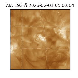 saia - 2026-02-01T05:00:04.843000