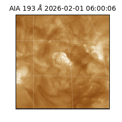 saia - 2026-02-01T06:00:06.616000