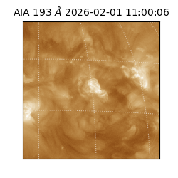 saia - 2026-02-01T11:00:06.614000