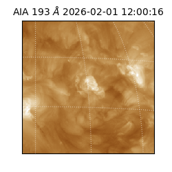 saia - 2026-02-01T12:00:16.835000