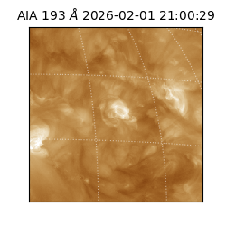 saia - 2026-02-01T21:00:29.627000