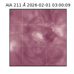 saia - 2026-02-01T03:00:09.637000