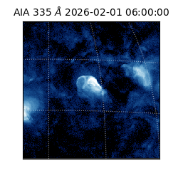 saia - 2026-02-01T06:00:00.631000