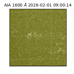 saia - 2026-02-01T09:00:14.130000