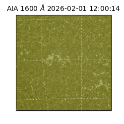 saia - 2026-02-01T12:00:14.125000