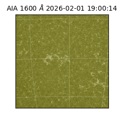 saia - 2026-02-01T19:00:14.126000