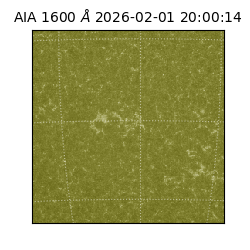 saia - 2026-02-01T20:00:14.133000