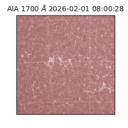 saia - 2026-02-01T08:00:28.710000