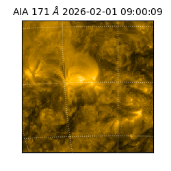 saia - 2026-02-01T09:00:09.349000