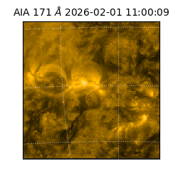 saia - 2026-02-01T11:00:09.352000