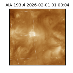 saia - 2026-02-01T01:00:04.843000