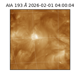 saia - 2026-02-01T04:00:04.843000