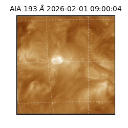 saia - 2026-02-01T09:00:04.843000