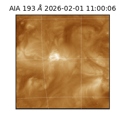 saia - 2026-02-01T11:00:06.614000