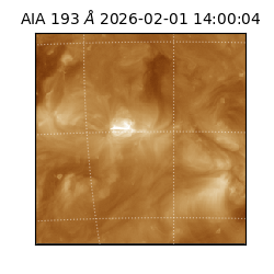 saia - 2026-02-01T14:00:04.843000