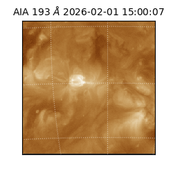 saia - 2026-02-01T15:00:07.045000