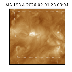 saia - 2026-02-01T23:00:04.843000