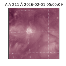 saia - 2026-02-01T05:00:09.630000