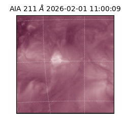 saia - 2026-02-01T11:00:09.632000