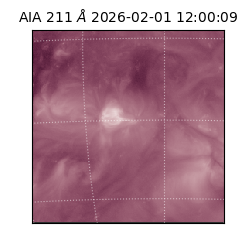 saia - 2026-02-01T12:00:09.633000