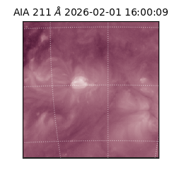 saia - 2026-02-01T16:00:09.619000