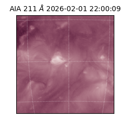 saia - 2026-02-01T22:00:09.625000