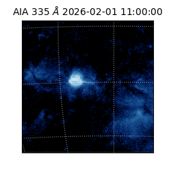 saia - 2026-02-01T11:00:00.622000