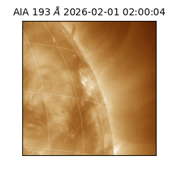 saia - 2026-02-01T02:00:04.843000