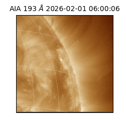 saia - 2026-02-01T06:00:06.616000