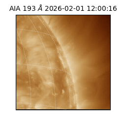 saia - 2026-02-01T12:00:16.835000