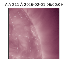 saia - 2026-02-01T06:00:09.623000