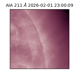 saia - 2026-02-01T23:00:09.633000