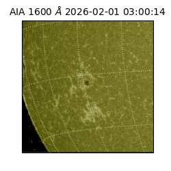 saia - 2026-02-01T03:00:14.125000