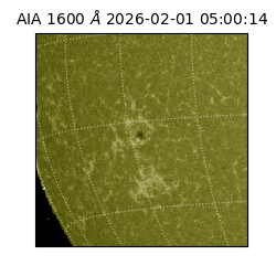 saia - 2026-02-01T05:00:14.125000