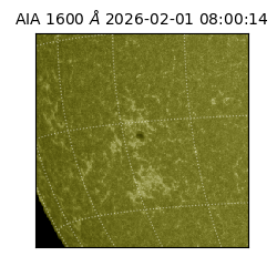 saia - 2026-02-01T08:00:14.118000