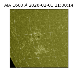 saia - 2026-02-01T11:00:14.133000